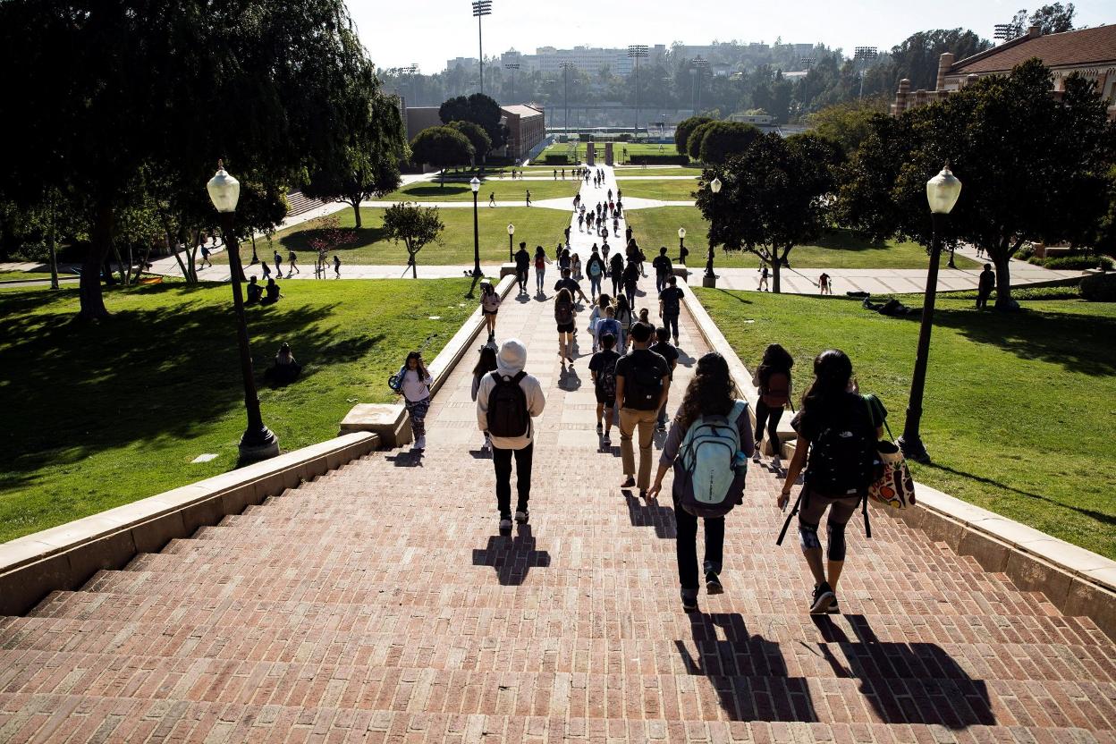 Estudiantes en un campus universitario. efe