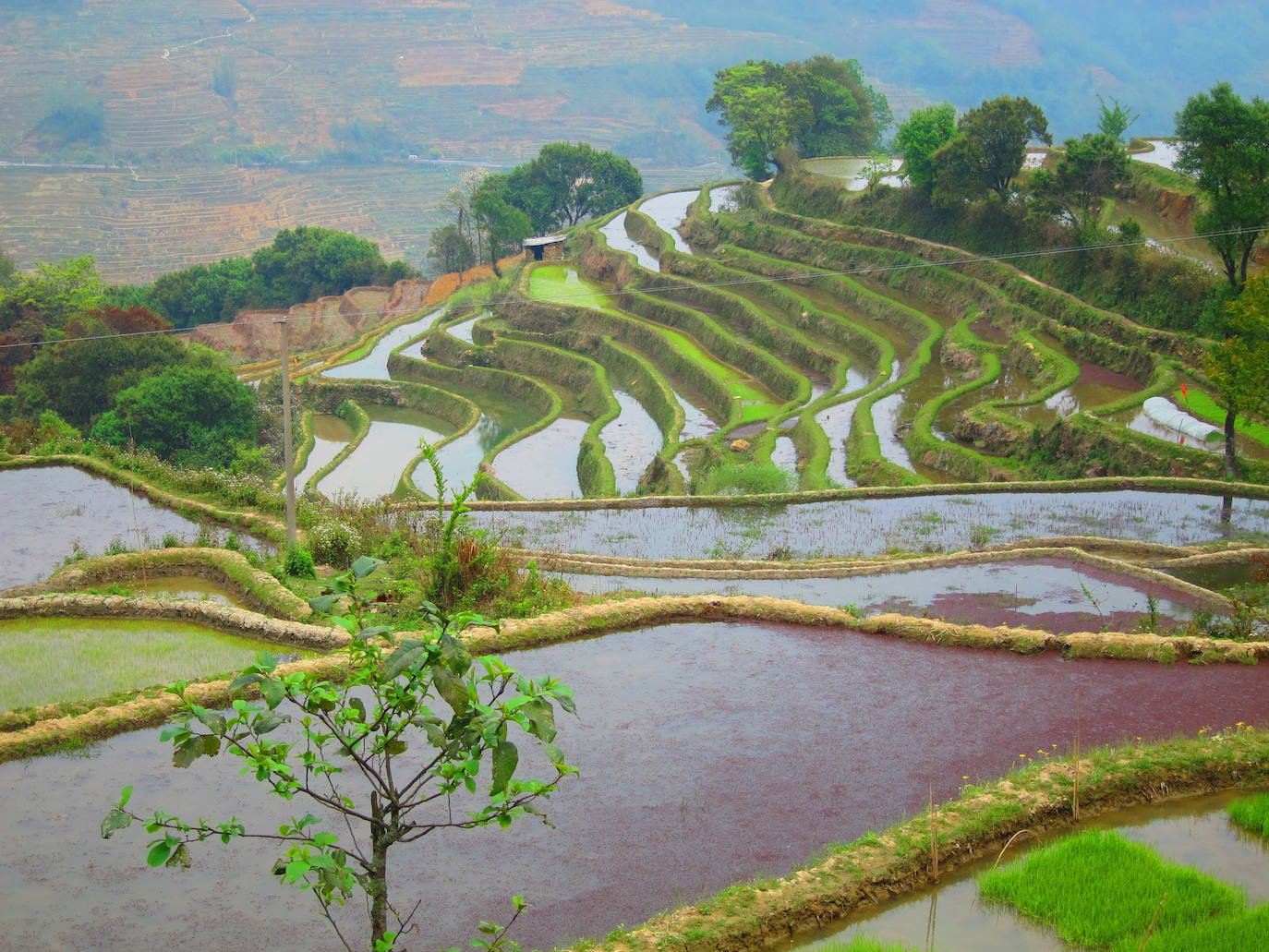 Yuanyang (China) | Es uno de los destinos preferidos por los fotógrafos a nivel mundial. Sus vistas aéreas son espectaculares, con terrazas de cientos de colores formadas por campos de arroz, que sólo ofrecen una cosecha al año por las condiciones del clima. 