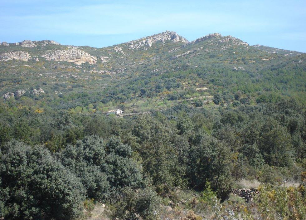 9. Sierra de los Bosques (Chiva).