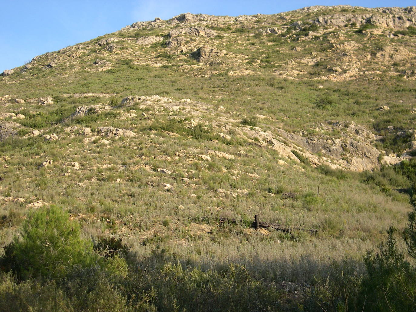 7. Sierra Grossa (Xàtiva).