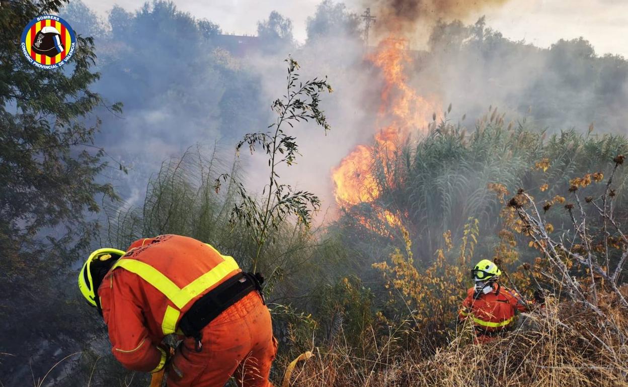 Los bomberos intervienen para sofocar las llamas.