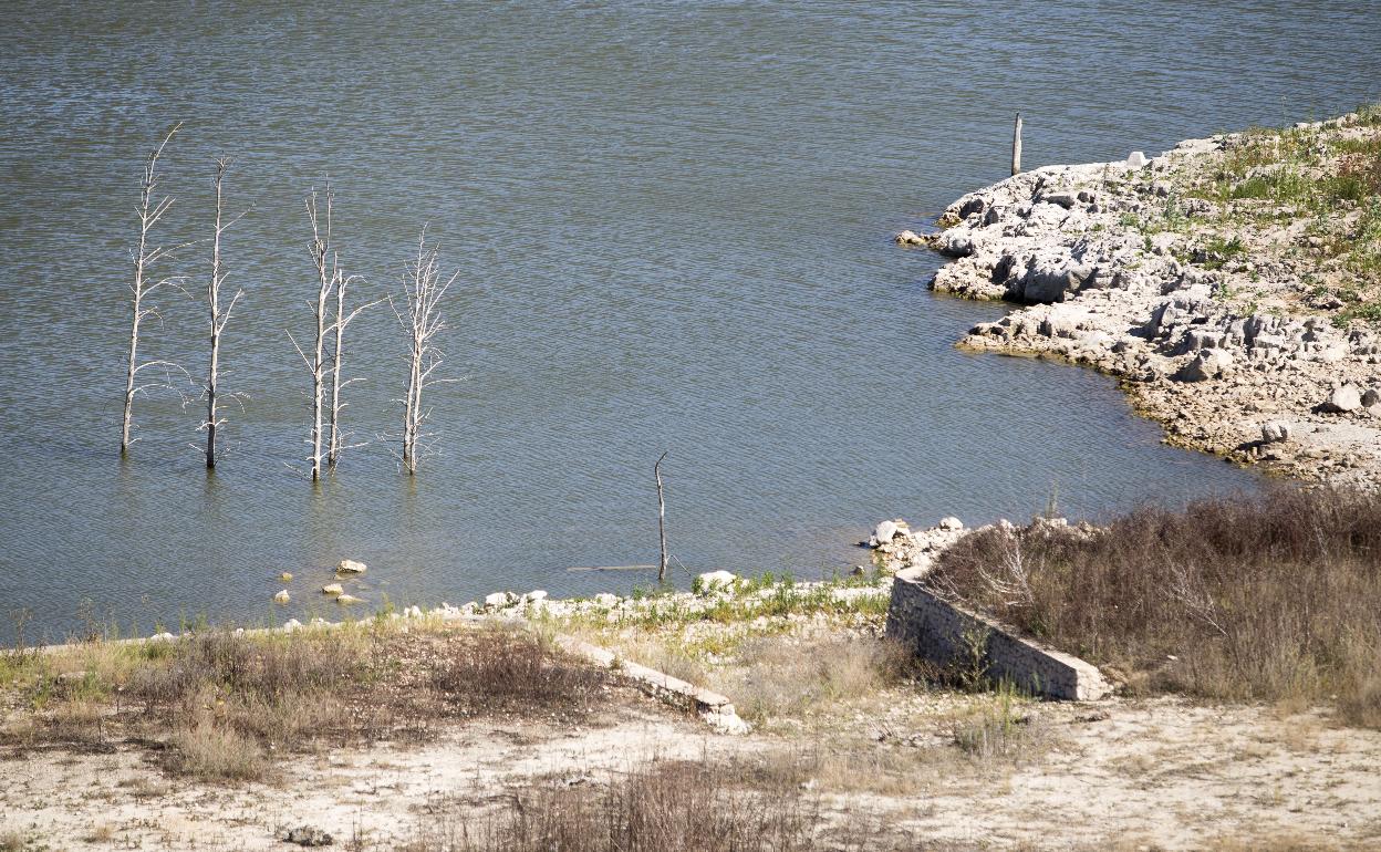 Agua del embalse de Bellús en una foto de archivo. 