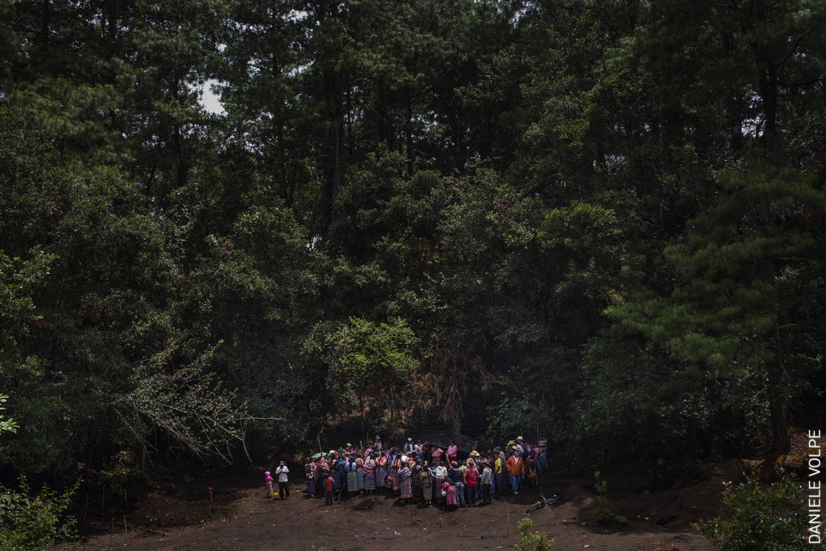 Fotos: Las imágenes más impactantes de la World Press Photo 20
