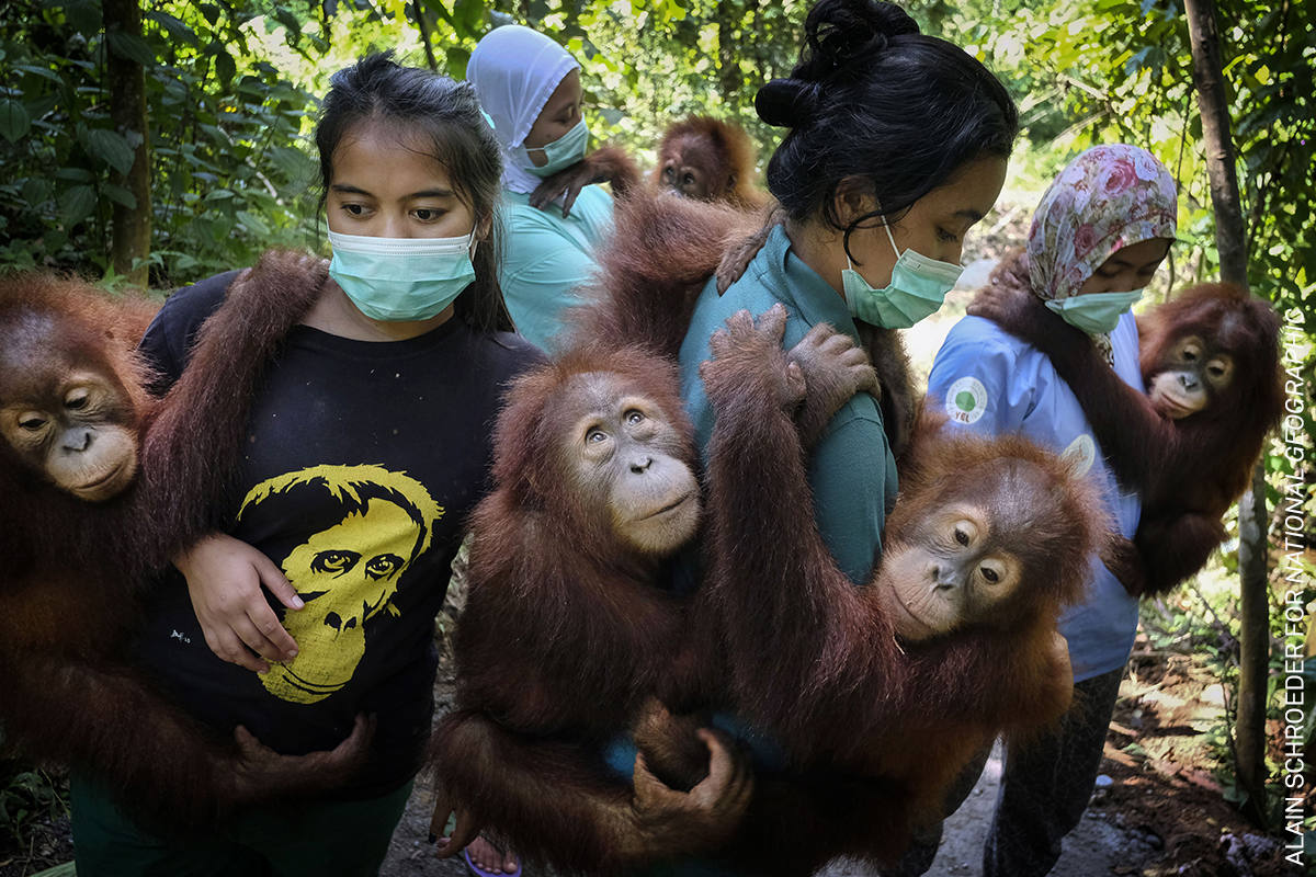 Fotos: Las imágenes más impactantes de la World Press Photo 20