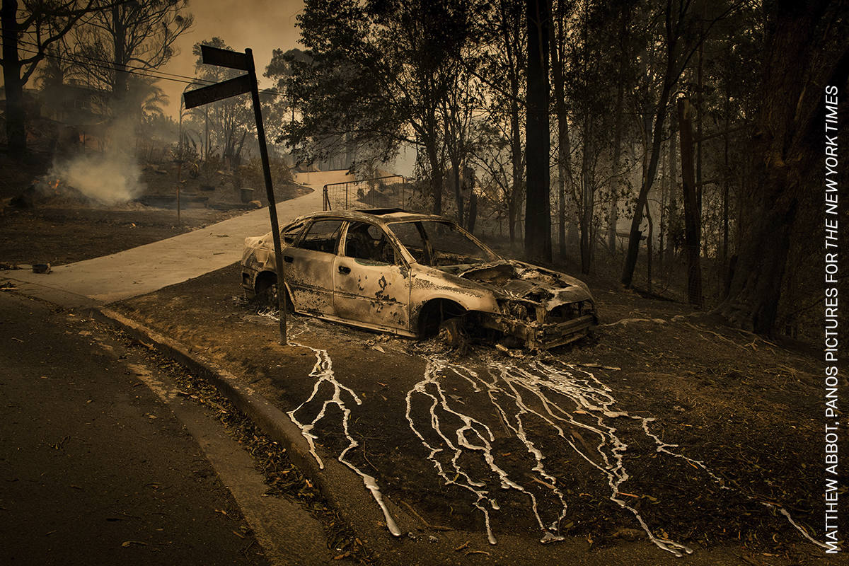 Fotos: Las imágenes más impactantes de la World Press Photo 20