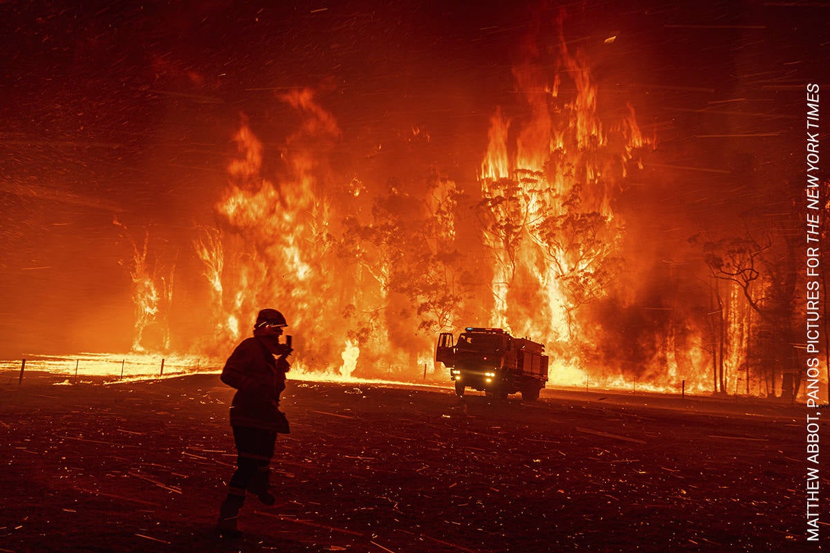 Fotos: Las imágenes más impactantes de la World Press Photo 20