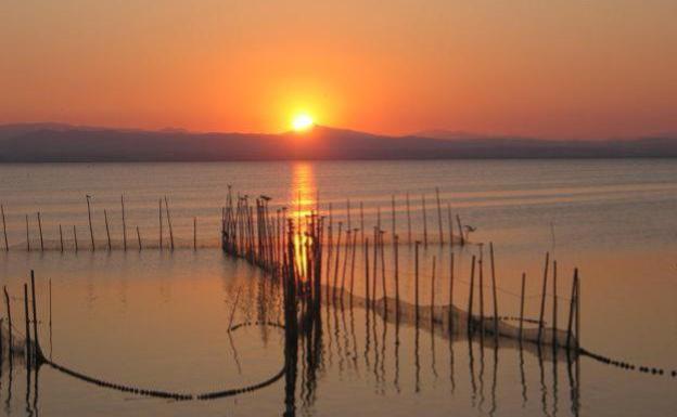 Disfruta de un paseo en barca por la Albufera. 