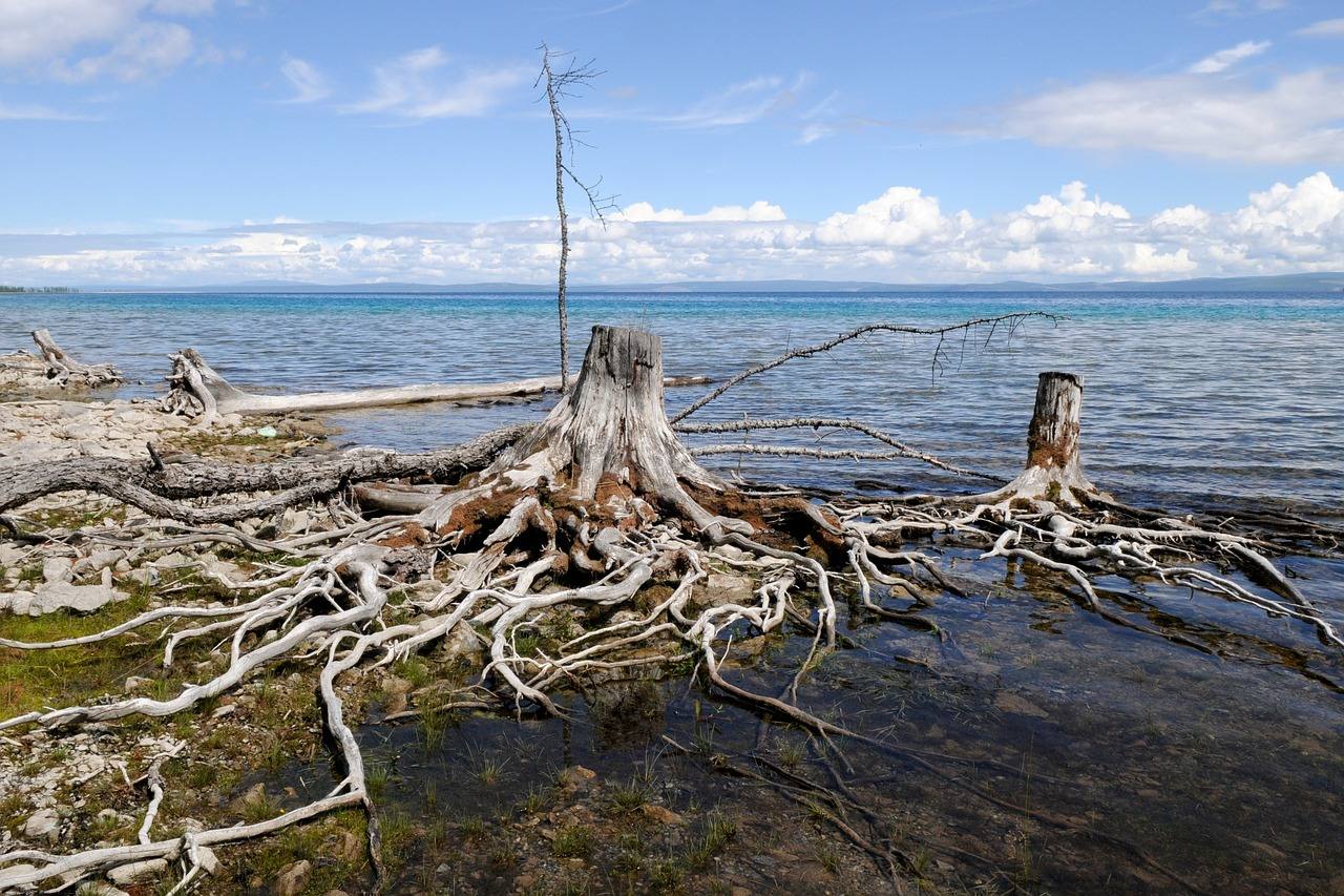 2. Lago de Khövsgöl, Mongolia.