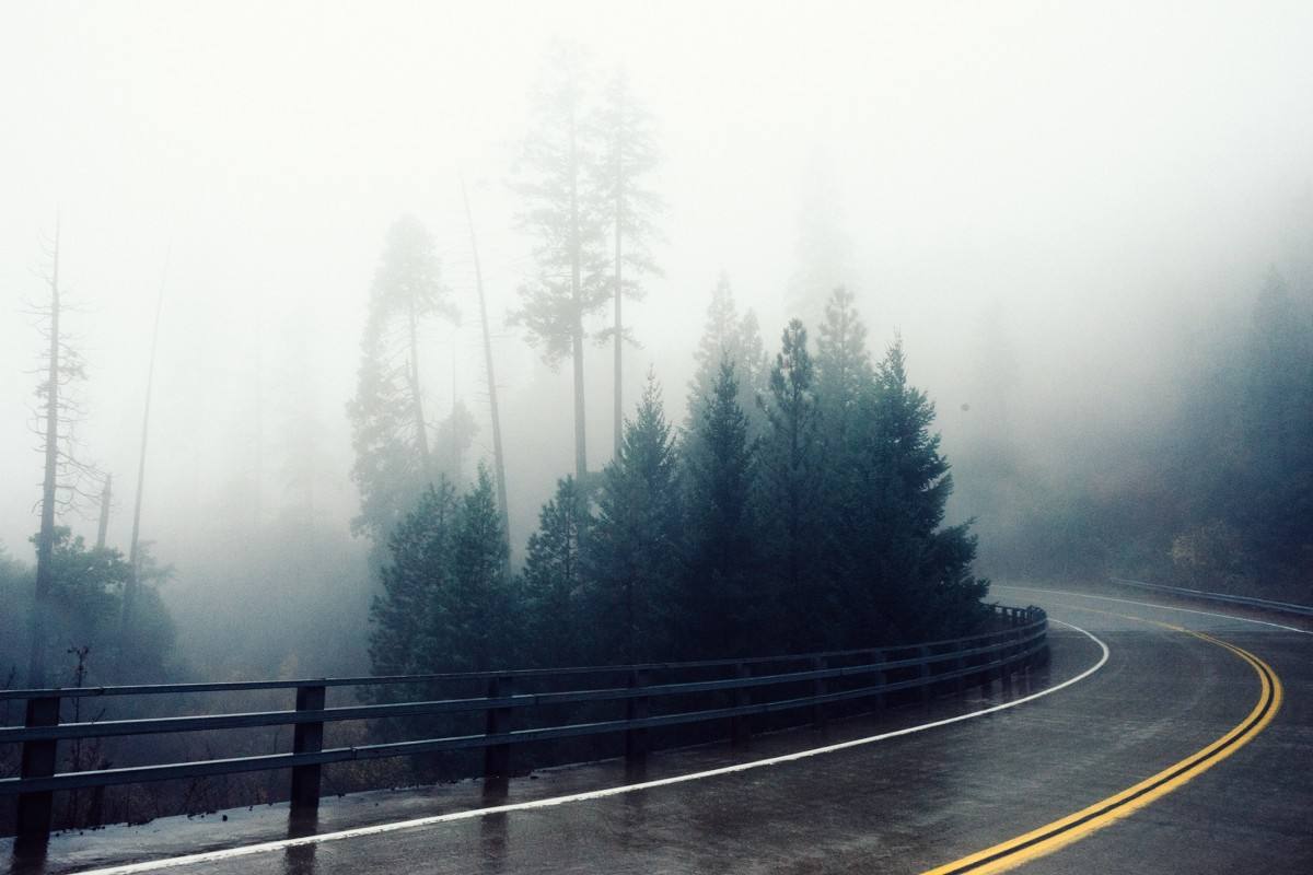 Es otra de las historias que más terror generan y que pasan de generación en generación. El relato empieza con una noche de lluvia, en una peligrosa carretera repleta de curvas, donde circula un conductor que se tope con una chica vestida de blanco haciendo autostop. Después de subirse al asiento de atrás, la joven le comenta: «Tenga cuidado con la próxima curva, es muy peligrosa». 