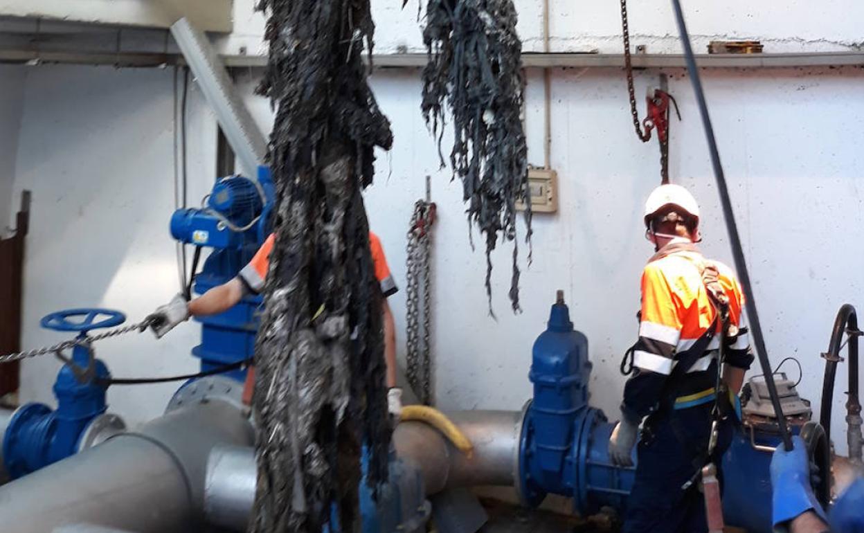 Técnicos tratan con residuos en el agua de Alicante. 