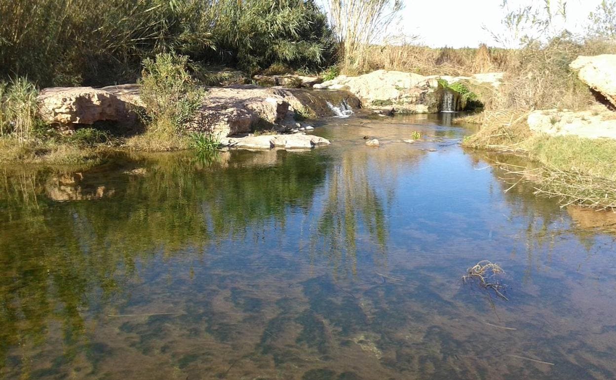 La zona del Pont Sec en el barranco del Carraixet. 