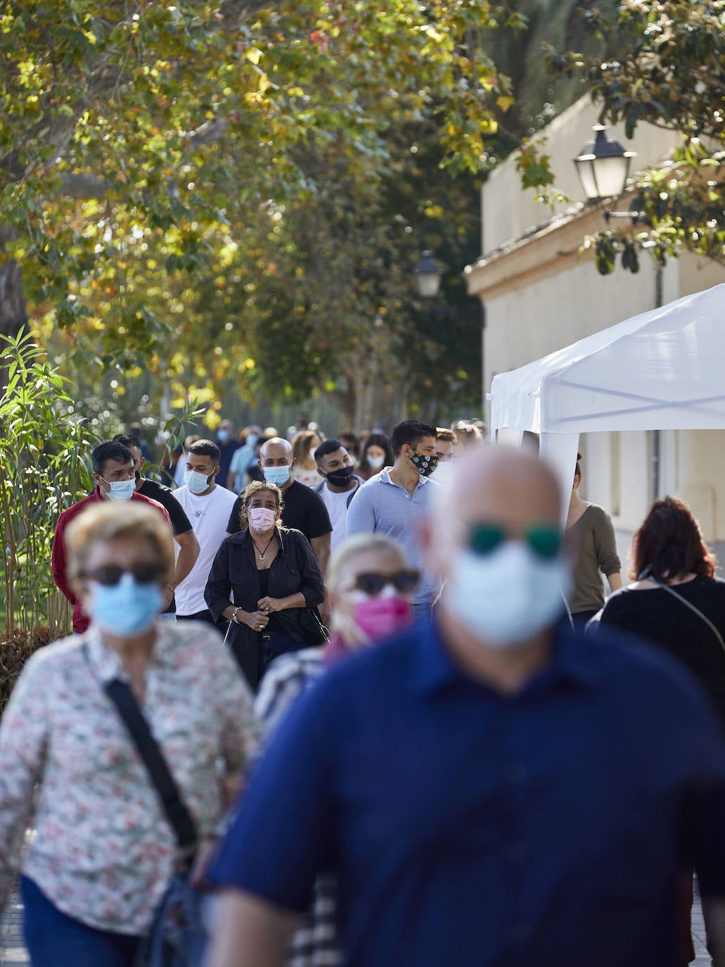 Fotos: Fotos del día de Todos los Santos en los cementerios de Valencia