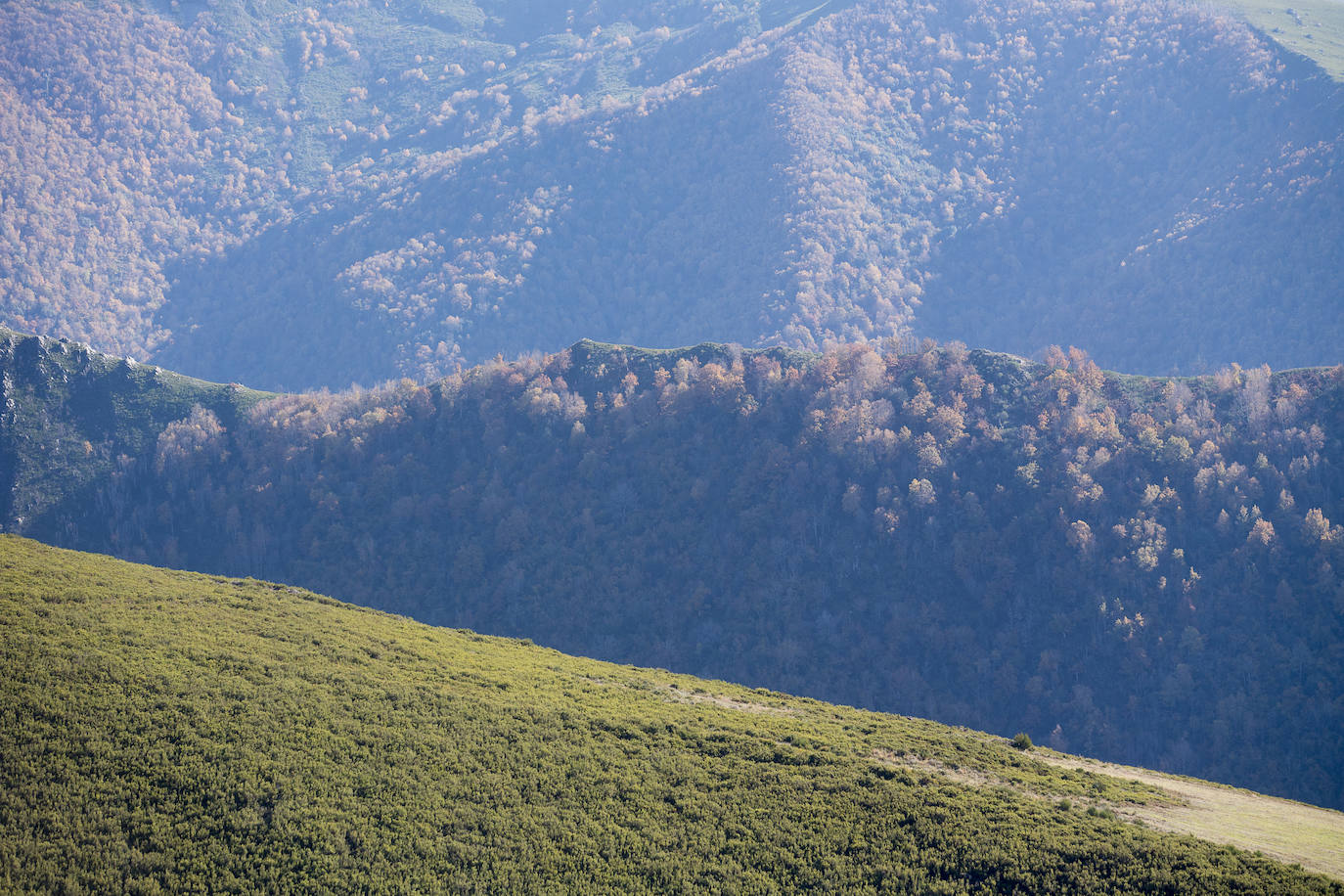 La sierra de Os Ancares es un paraje de visita obligatoria. Situada en el este de la provincia de Lugo, en la frontera con las comunidades vecinas de Castilla y León y El Principado de Asturias, se distribuye a lo largo de más de 50.000 hectáreas. Con una infinita red de senderos cruza profundos valles y asciende hasta cumbres de 2.000 metros de altura. En otoño el manto vegetal adquiere tonos rojizos. En invierno, esta zona permanece cubierta por la nieve, algo que cambia con la llegada de la primavera, cuando las aguas del deshielo fluyen desde las cumbres hasta las zonas bajas, formando numerosos riachuelos y pequeñas cascadas. 