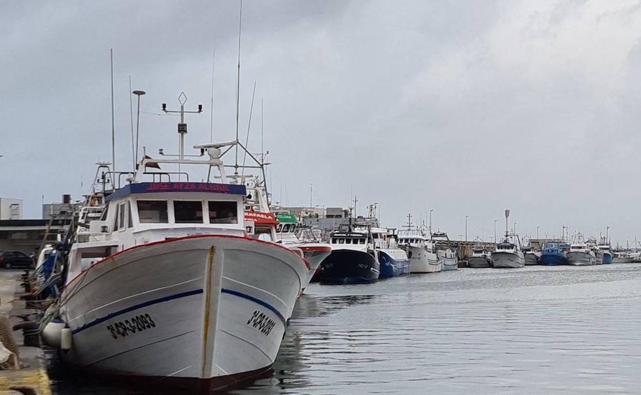 Embarcaciones pesqueras en uno de los puertos de la Comunitat.