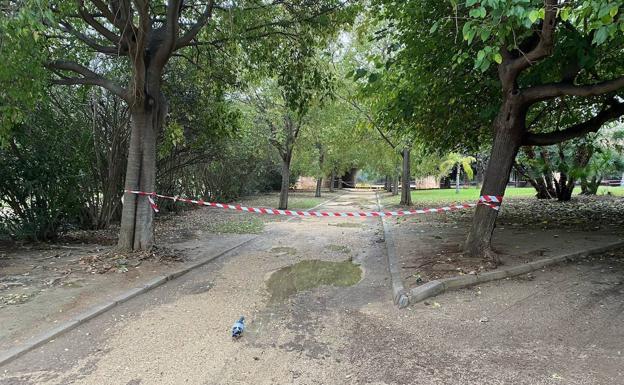 Imagen principal - Lluvia en Valencia | Lagos bajo el bosque y viales cortados en el Jardín del Túria de Valencia