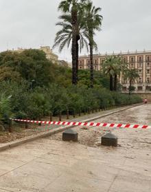 Imagen secundaria 2 - Lluvia en Valencia | Lagos bajo el bosque y viales cortados en el Jardín del Túria de Valencia