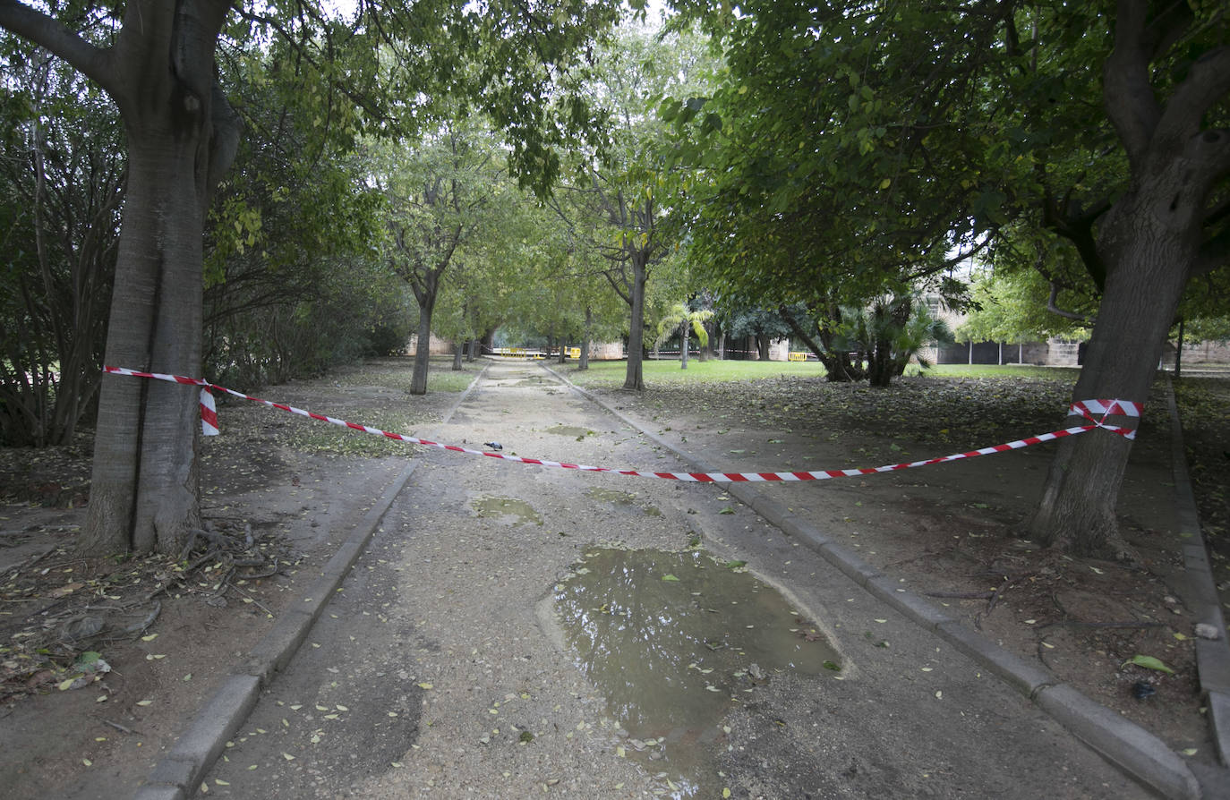 Fotos: Daños tras las lluvias en el cauce del río Turia