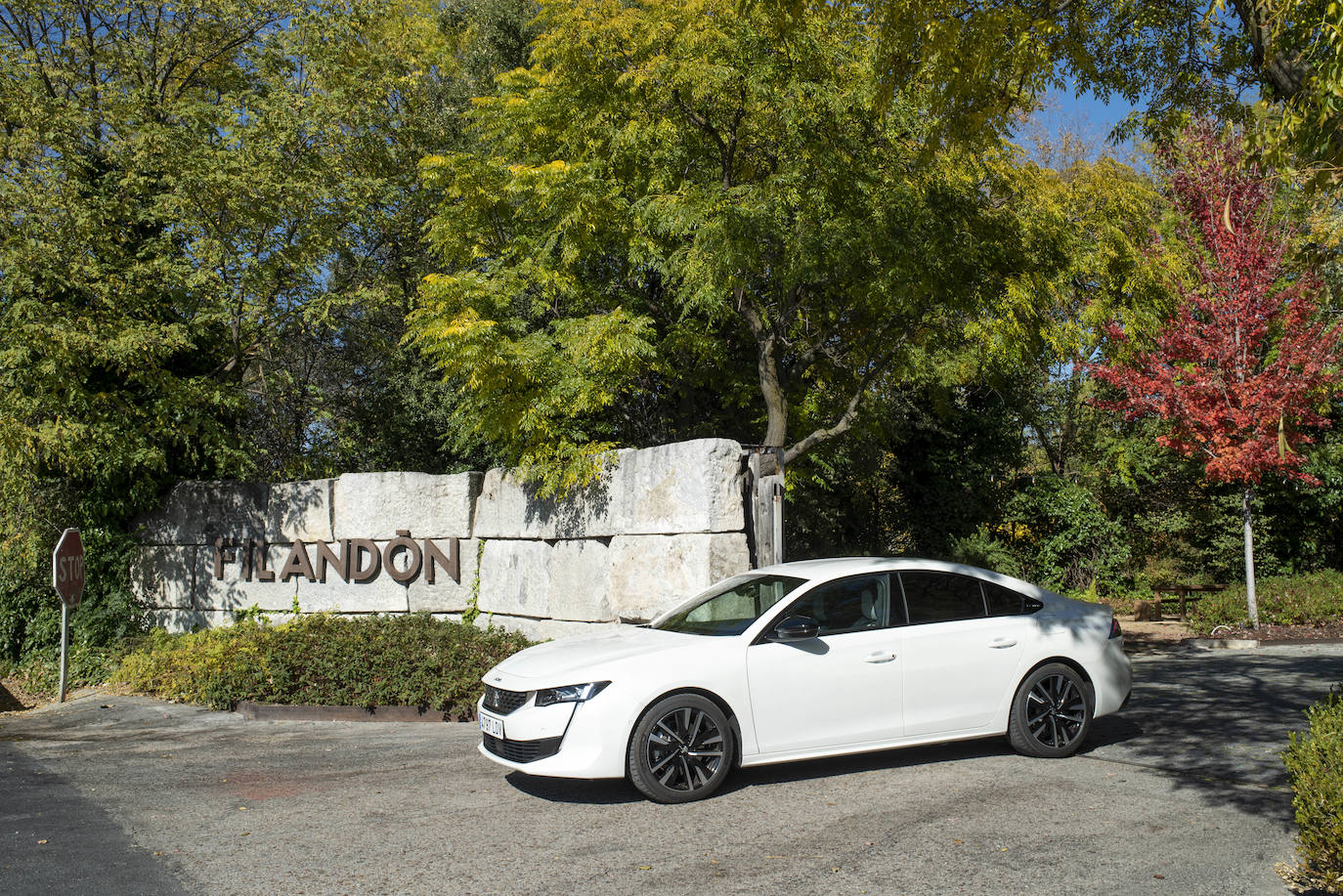 Fotos: Fotogalería: Peugeot 508 HYbrid