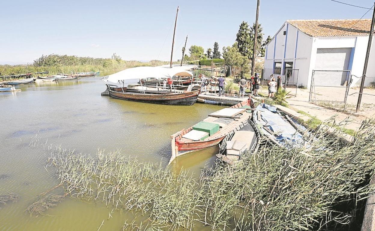 Piden que se mejora la calidad del agua de la Albufera. 