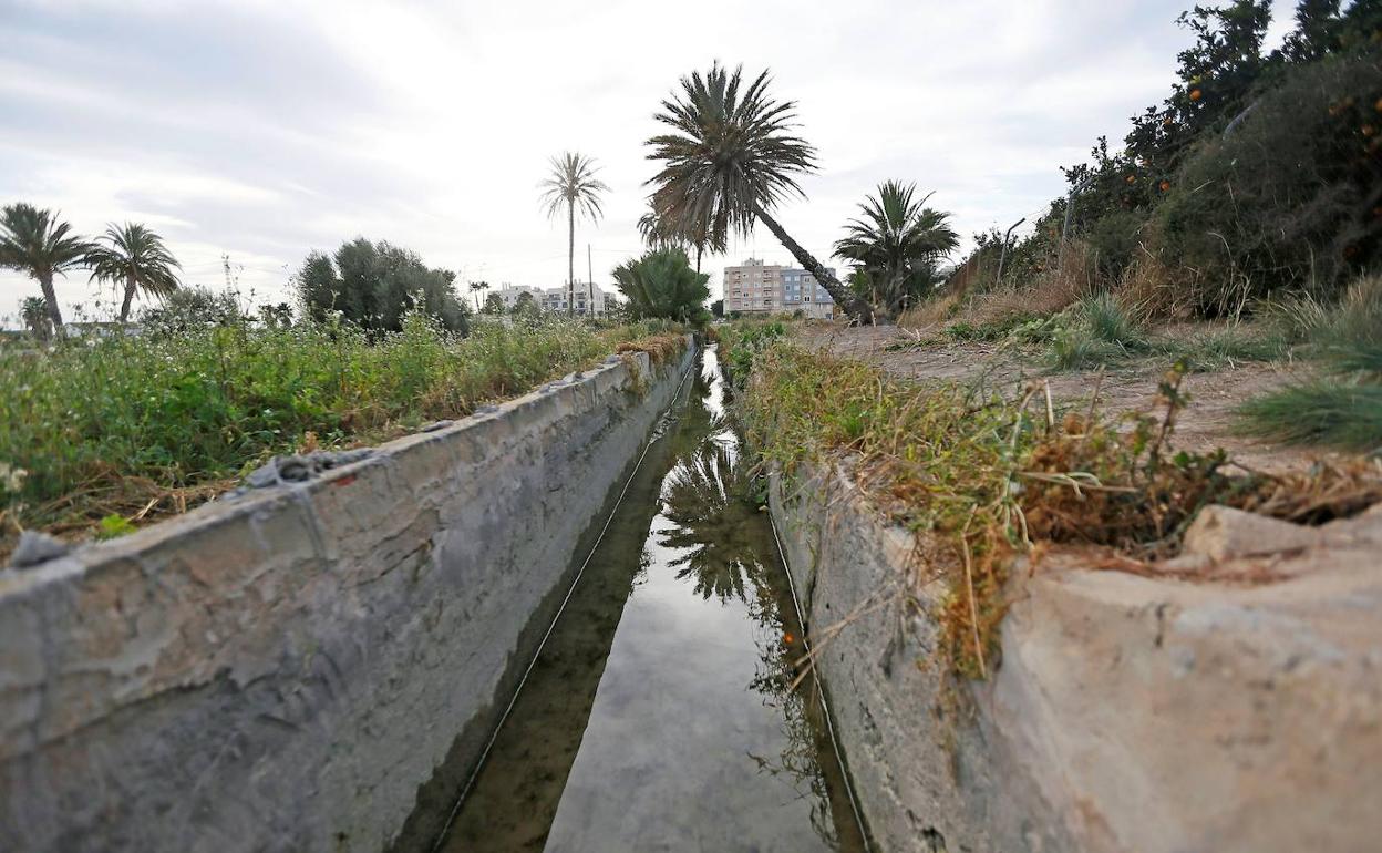 Vista del lugar de la acequia de la pedanía ilicitana de La Hoya donde fue encontrado el cadáver de una vecina con aparentes signos de estrangulamiento. 