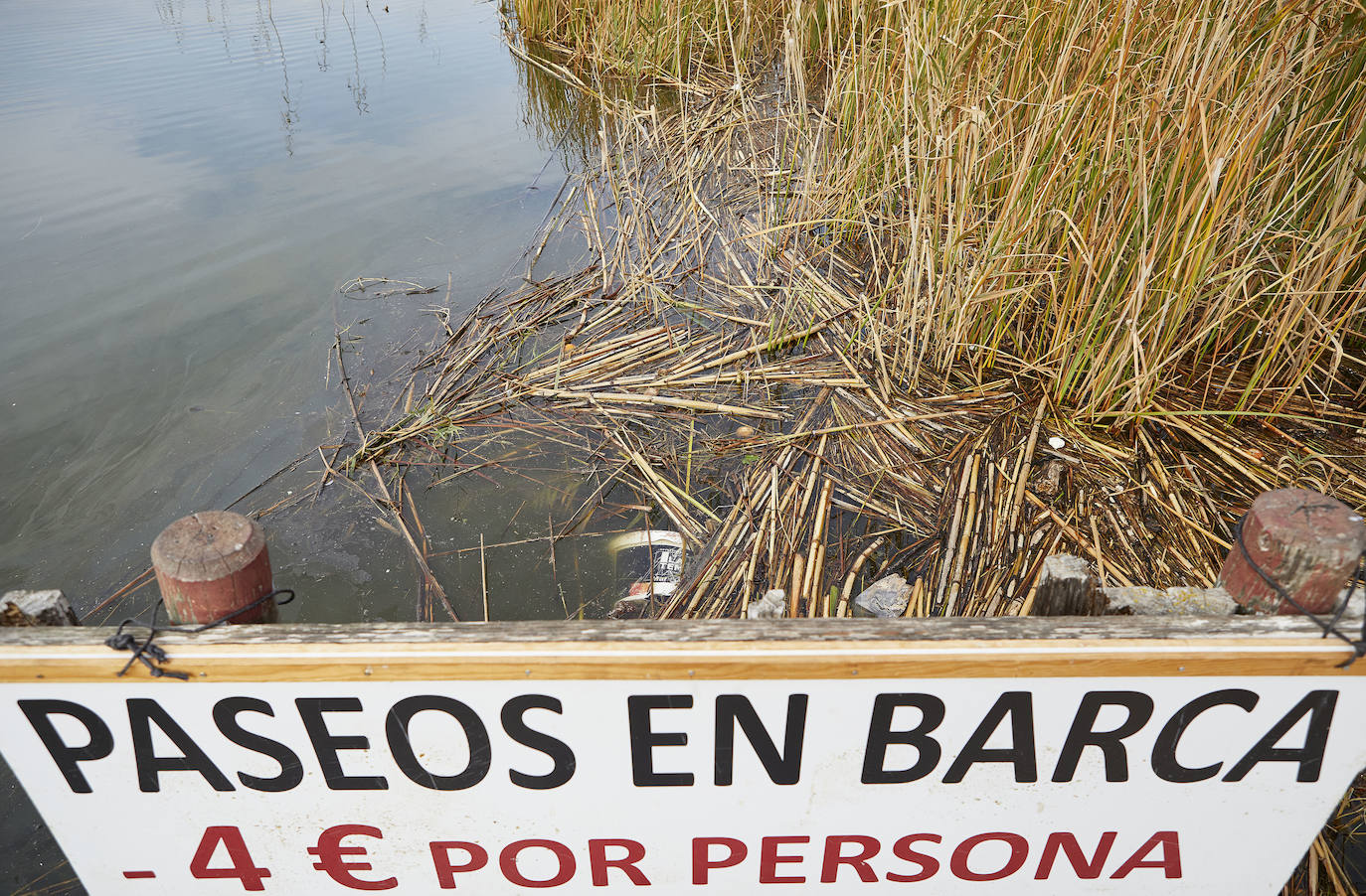 La Comunidad de El Palmar exige la retirada de residuos en el lago y alerta de mortandad en varios puestos de peces por la falta de oxígeno