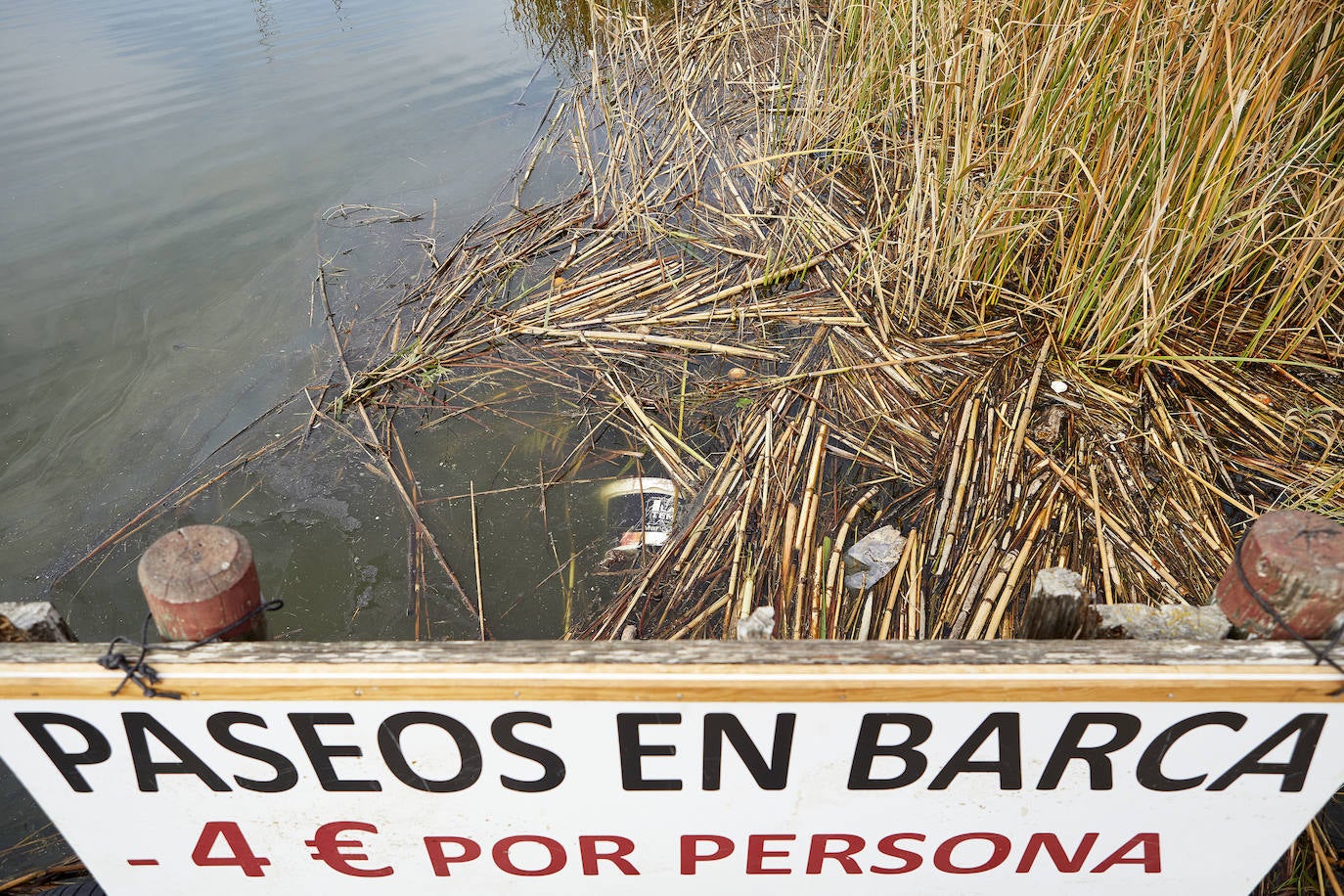 La Comunidad de El Palmar exige la retirada de residuos en el lago y alerta de mortandad en varios puestos de peces por la falta de oxígeno