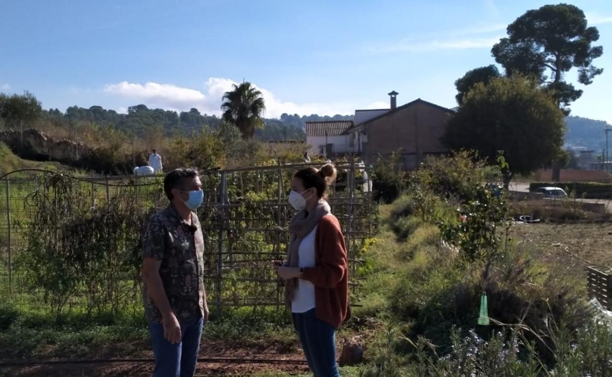 Vecinos de Alzira se forman en agricultura ecológica y sostenible