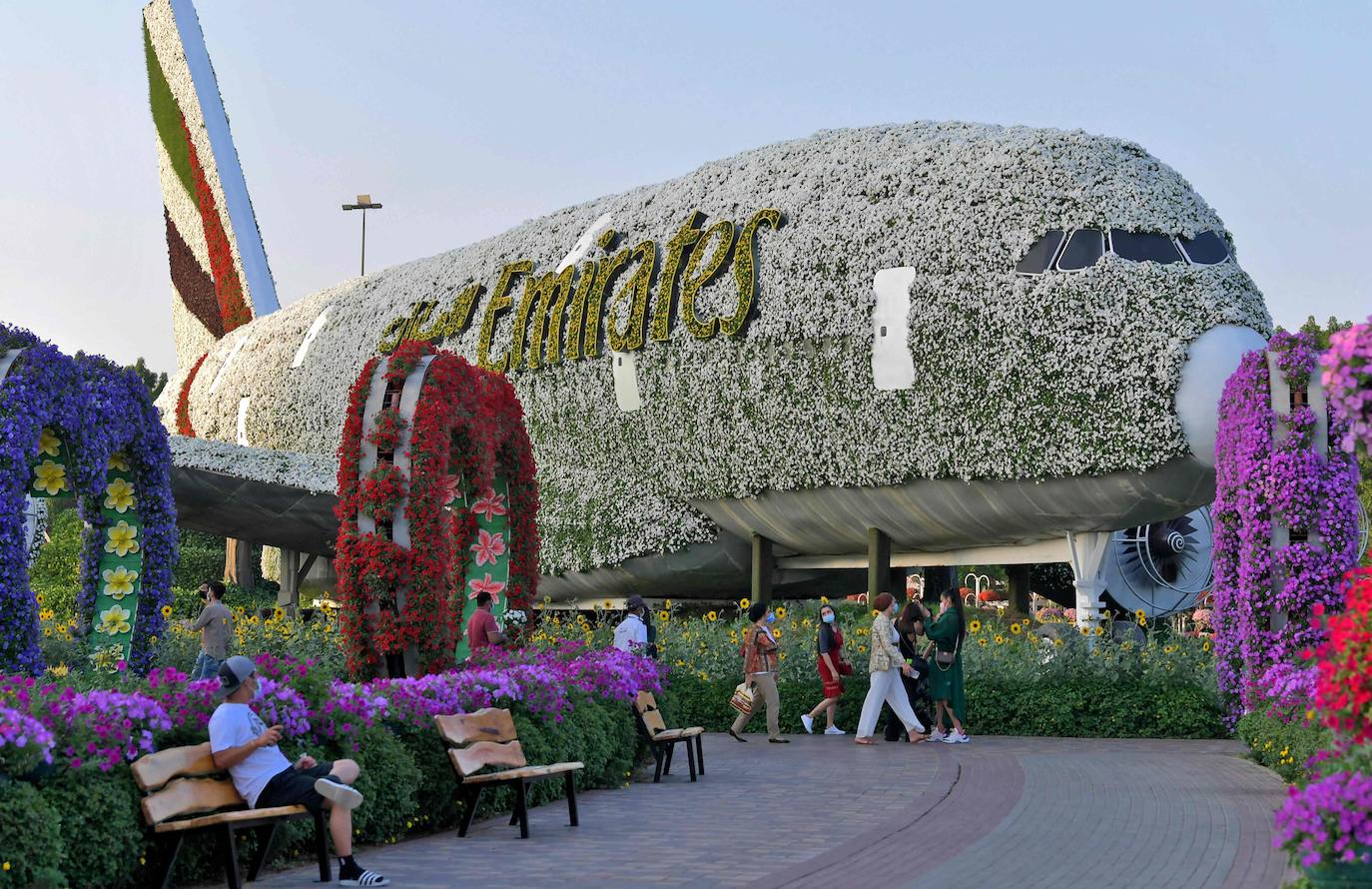 Flores gigantes y arreglos de plantas, algunos con personajes populares de Disney como Mickey Mouse y el pato Donald, dan la bienvenida a los visitantes al Dubai Miracle Garden, el jardín de flores más grande del mundo.