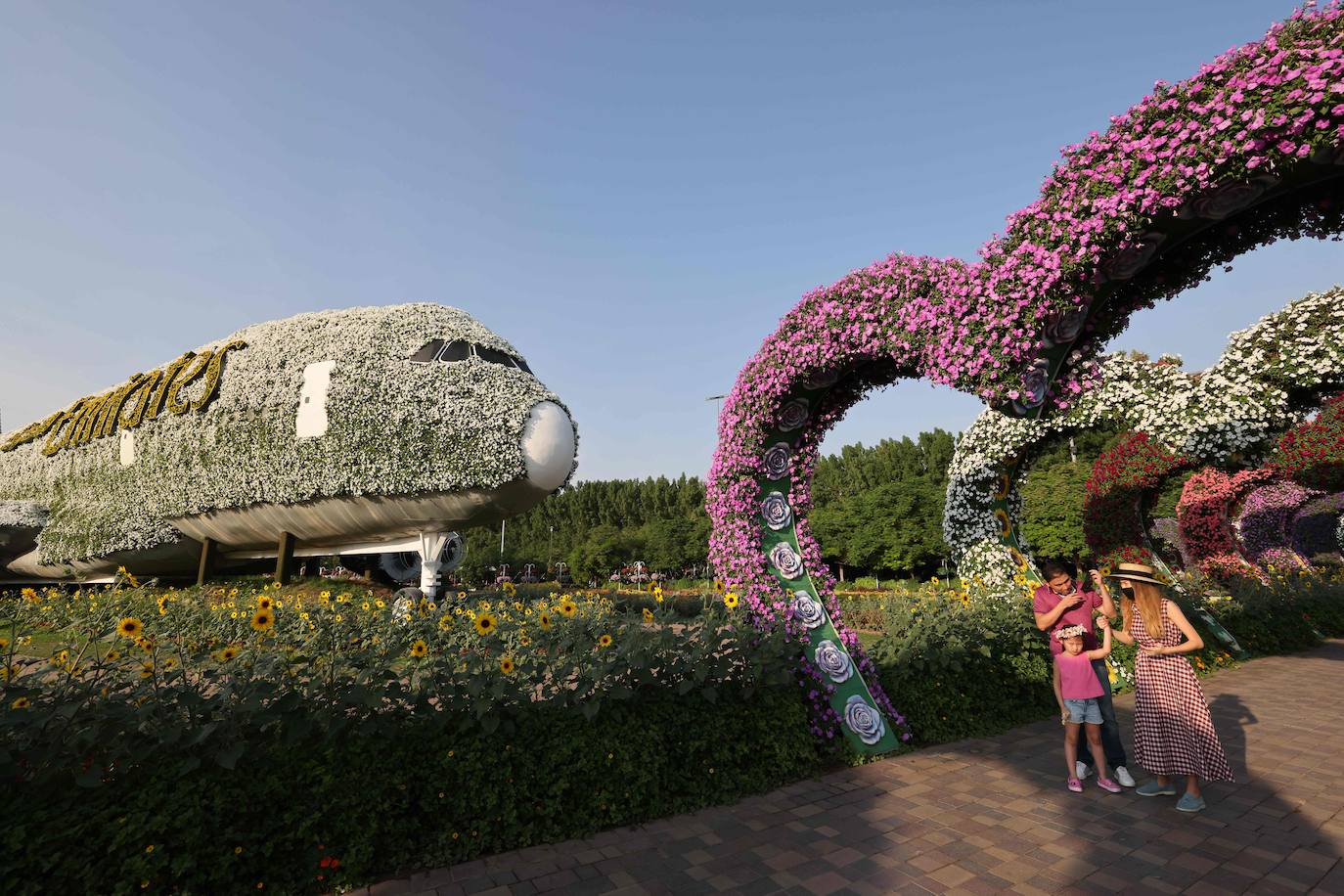 Flores gigantes y arreglos de plantas, algunos con personajes populares de Disney como Mickey Mouse y el pato Donald, dan la bienvenida a los visitantes al Dubai Miracle Garden, el jardín de flores más grande del mundo.