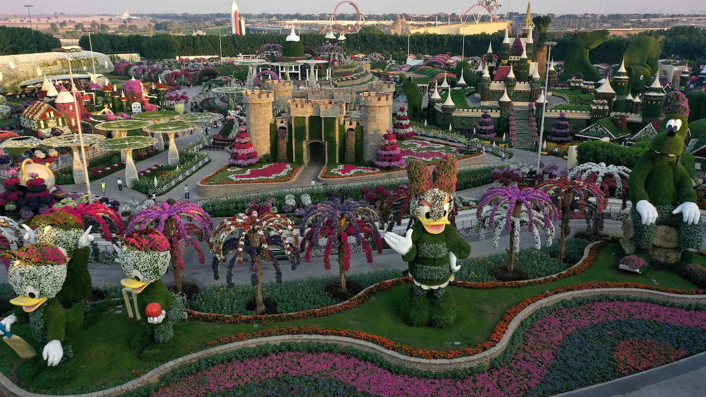 Flores gigantes y arreglos de plantas, algunos con personajes populares de Disney como Mickey Mouse y el pato Donald, dan la bienvenida a los visitantes al Dubai Miracle Garden, el jardín de flores más grande del mundo.