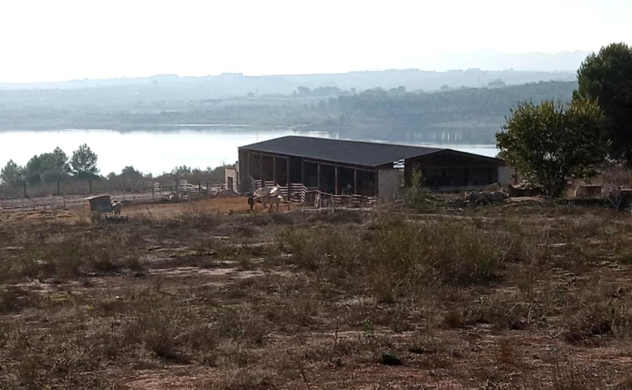 La explotación ilegal ubicada en el término de Benigànim donde se pueden ver aún caballos. 