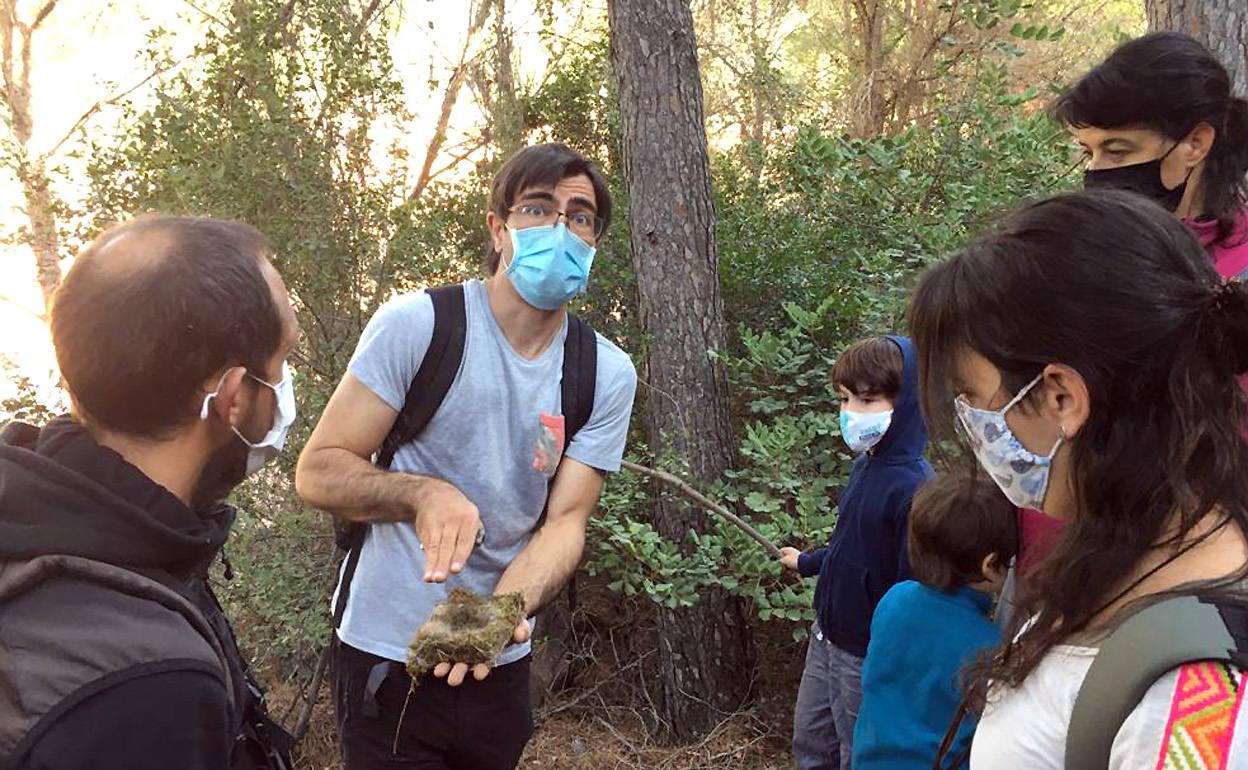 Los voluntarios en la revisión de las cajas nido. 
