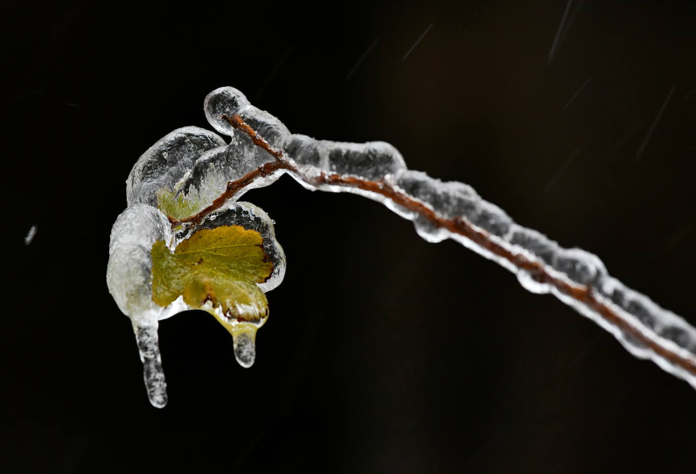 ¿Saben lo que es la lluvia helada o engelante? Se trata de un fenómeno atmosférico por el cual el agua de la lluvia se convierte en hielo cuando impacta con cualquier superficie, por ello la ciudad rusa de Vladivostok ha amanecido este domingo completamente congelada. 