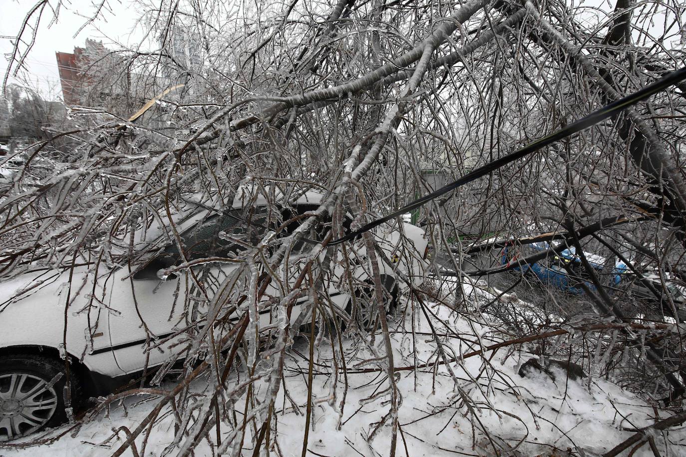 ¿Saben lo que es la lluvia helada o engelante? Se trata de un fenómeno atmosférico por el cual el agua de la lluvia se convierte en hielo cuando impacta con cualquier superficie, por ello la ciudad rusa de Vladivostok ha amanecido este domingo completamente congelada. 