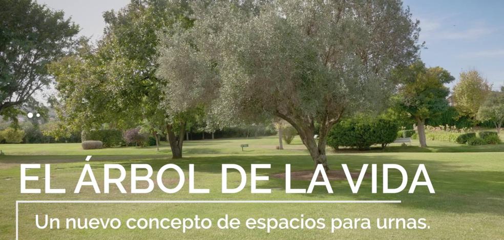 Cementerio Parque de la Paz: El Árbol de la Vida, un nuevo concepto  sostenible para el descanso de las cenizas | Las Provincias
