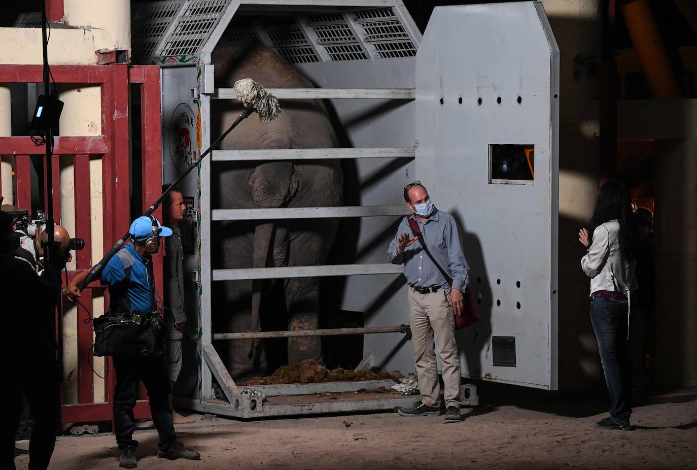 Tras años de maltrato en un zoo de Pakistán, el elefante «más solitario del mundo», llegó a Camboya el lunes, donde fue recibido por la superestrella estadounidense Cher, que lo acompañará a un santuario que alberga a otros paquidermos.