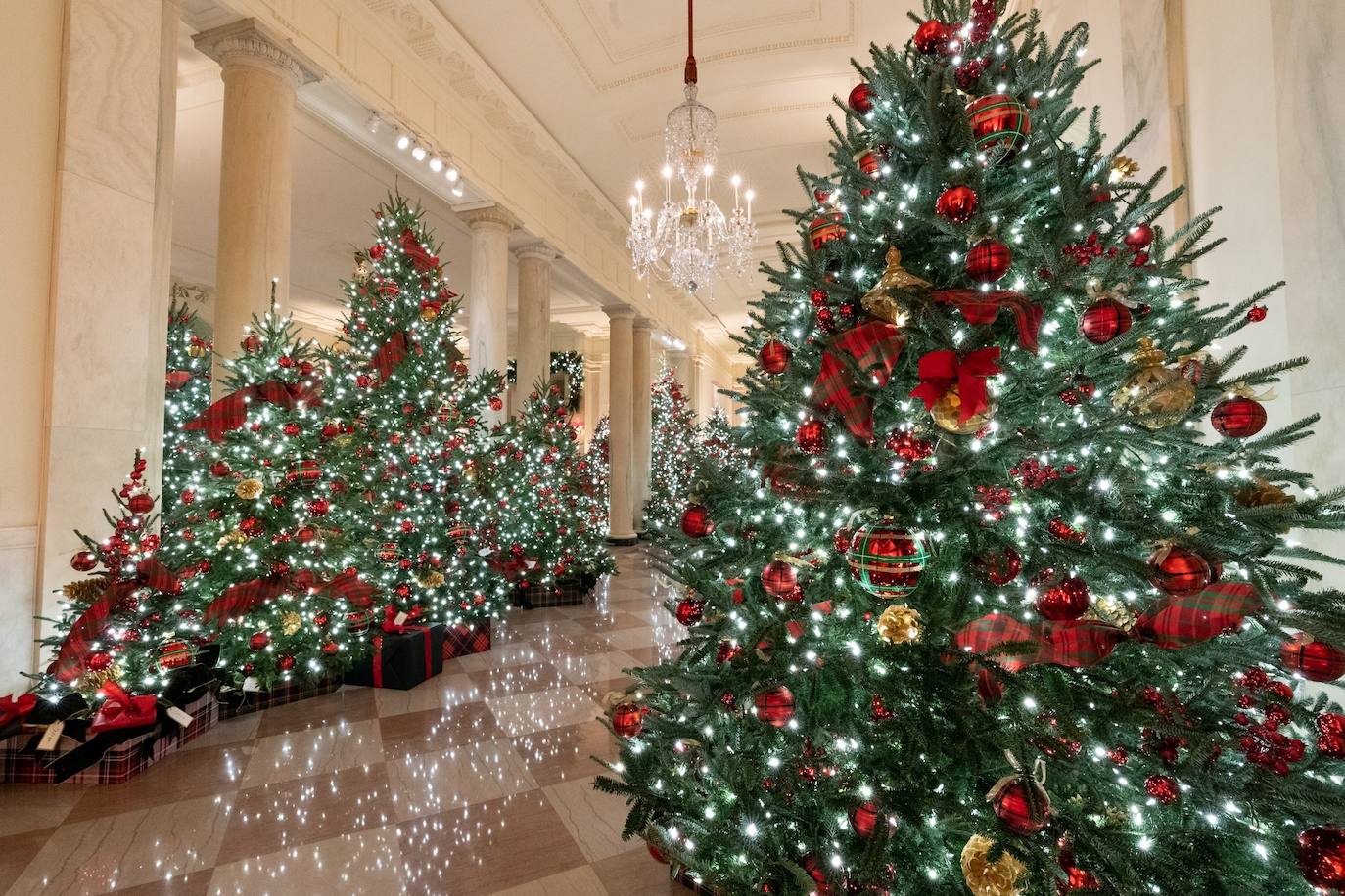 Estas navidades serán las últimas de Melania Trump en la Casa Blanca y no ha querido faltar a la tradición de recibir al abeto más alto que decorará su aún hogar, una costumbre que se lleva haciendo desde 1966. Un carro de caballos ha acercado al abeto agraciado, que mide 5,6 metros, hasta la entrada de la residencia presidencial, que ya ha presentado su decoración navideña. 