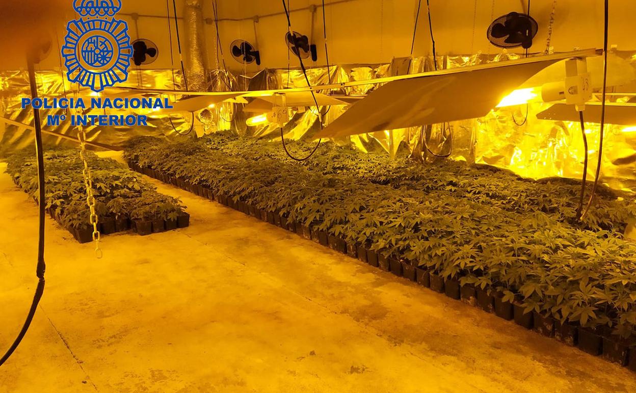 Nave en la que el detenido tenía la plantación de marihuana en Valencia. 