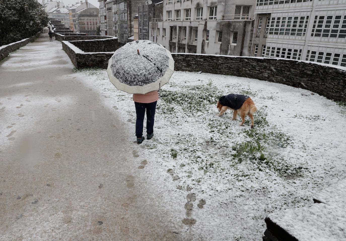 Una persona pasea por el paisaje nevado de la Muralla Romana de Lugo.