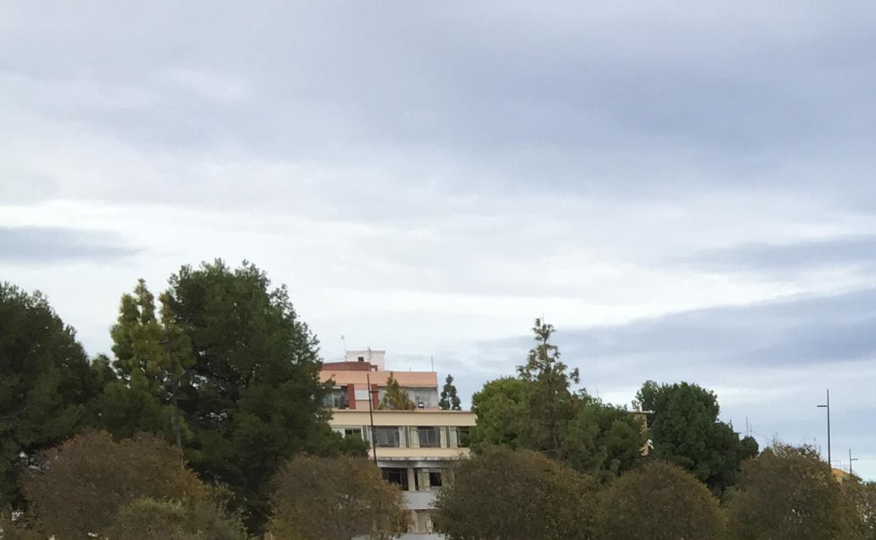 Un joven observa el río Serpis en Gandia, en el tramo con más vegetación invasora 