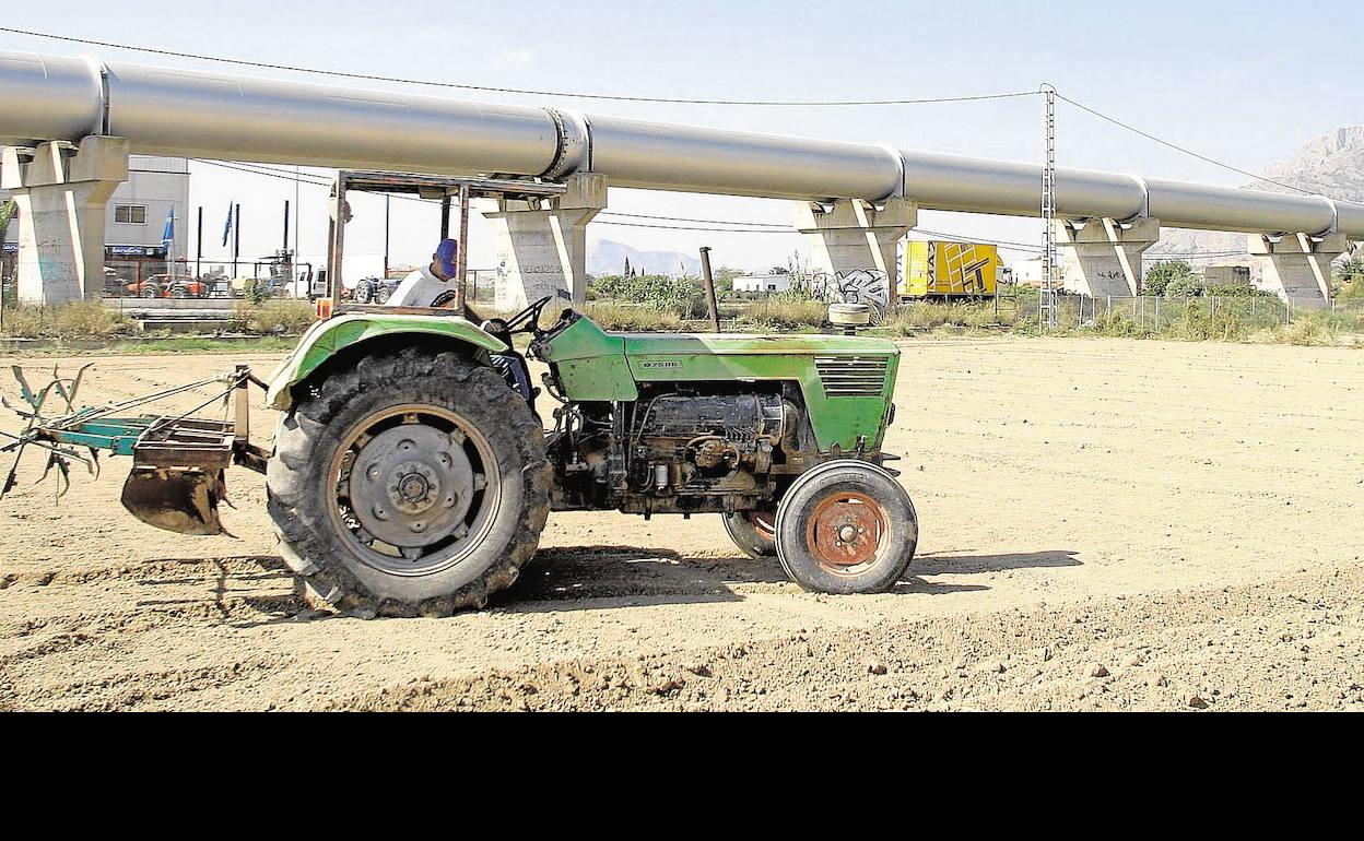 Un agricultor de la Vega Baja labra sus tierras con un tractor junto a la tubería del trasvase Tajo-Segura. 