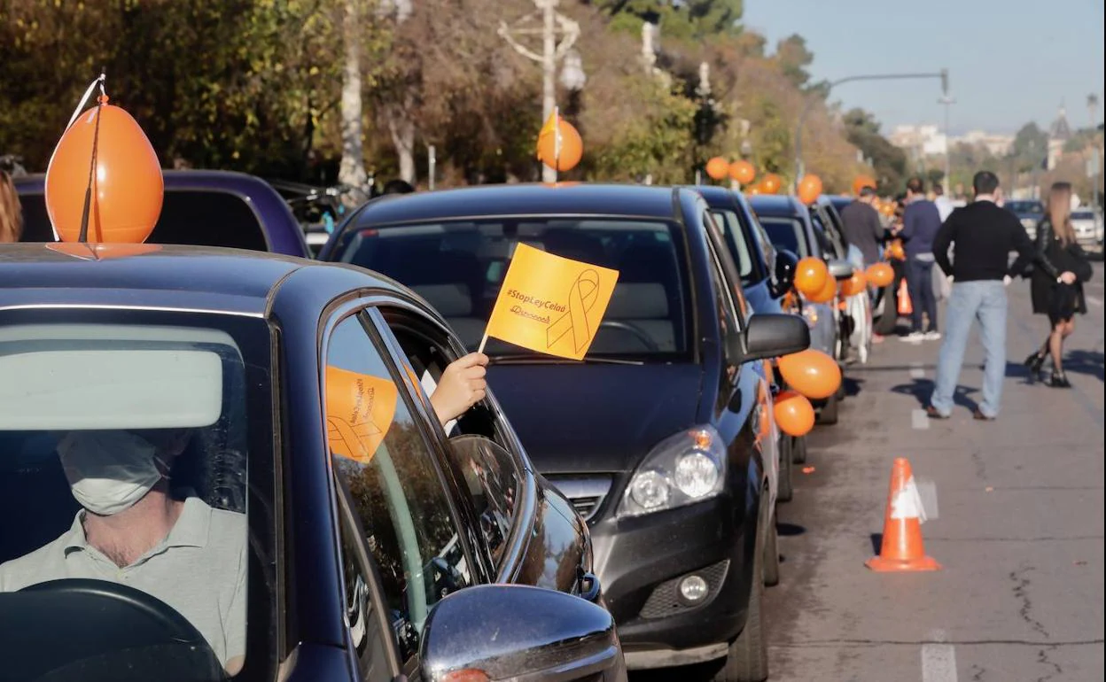 Imagen de la protesta en Valencia contra la Ley Celaá. 