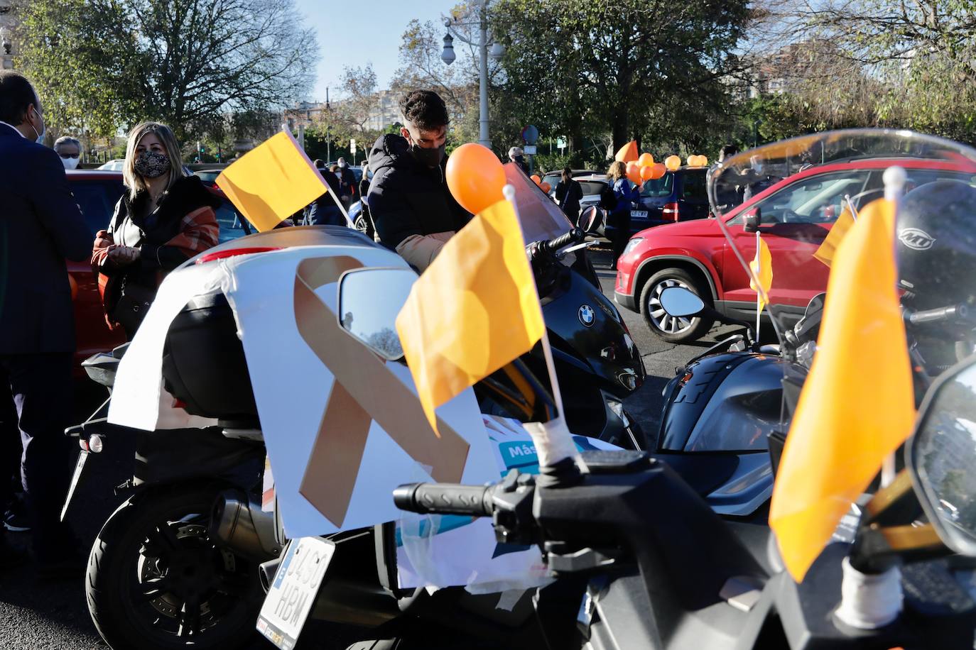 La manifestación en coche contra la Lomloe recorre algunas de las principales vías de Valencia. La protesta, impulsada a nivel nacional por la plataforma 'Concertados', reúne a los detractores de la Ley Celaá en un recorrido iniciado en el paseo de la Alameda y que atraviesa las Grandes Vías, el paseo de la Pechina, las calles Blanquerías, Conde de Trenor, Pintor López y Paseo Ciudadela y el puente de las Flores