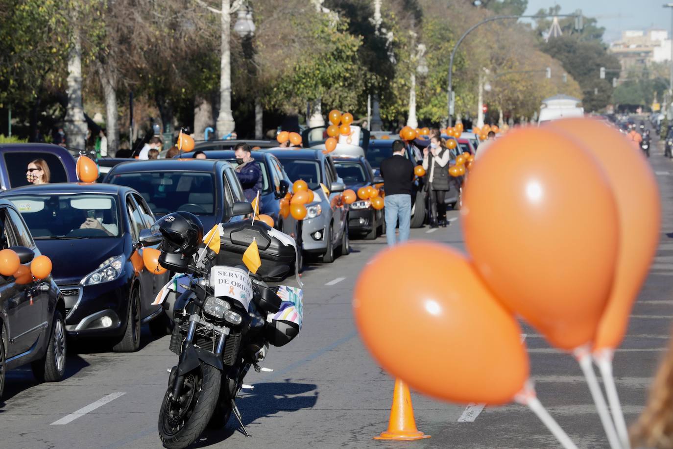 La manifestación en coche contra la Lomloe recorre algunas de las principales vías de Valencia. La protesta, impulsada a nivel nacional por la plataforma 'Concertados', reúne a los detractores de la Ley Celaá en un recorrido iniciado en el paseo de la Alameda y que atraviesa las Grandes Vías, el paseo de la Pechina, las calles Blanquerías, Conde de Trenor, Pintor López y Paseo Ciudadela y el puente de las Flores