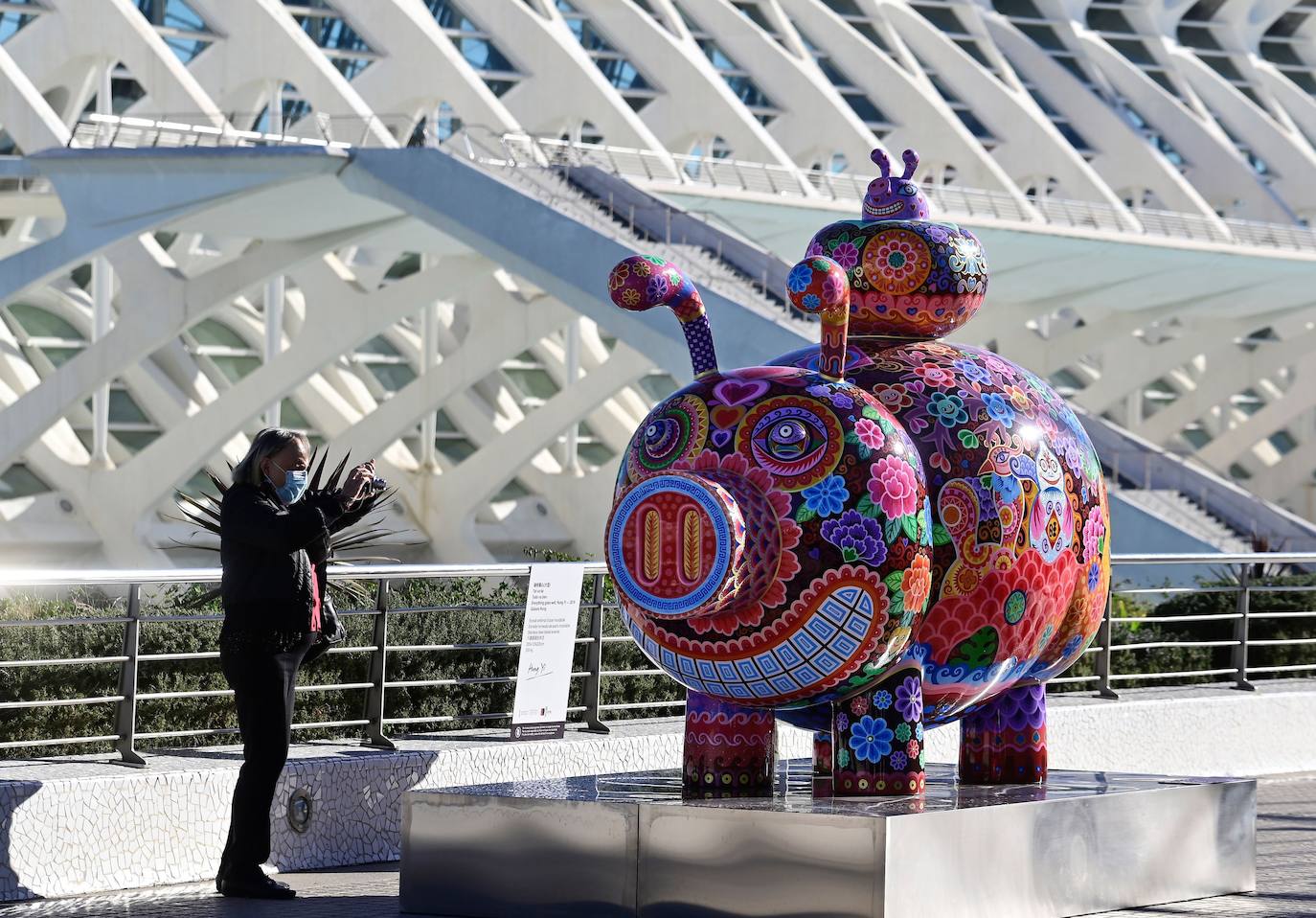 Catorce esculturas del artista taiwanés Hung Yi (1970) inundan de color La Ciutat de les Arts i les Ciències de Valencia en una exposición de libre acceso que se ha inaugurado este jueves en el Paseo del Arte del Umbracle y el lago norte del Hemisfèric bajo el título 'Galaxia Hung'. La galaxia que ha inventado Hung Yi está habitada por osos pandas, rinocerontes, cisnes y patos, todos ellos con una percepción colorista y con una visión muy oriental expresada en esos meticulosos dibujos que acompañan a las esculturas que estarán instaladas en los exteriores de la Ciutat de les Arts i les Ciències hasta el próximo 21 de febrero. 