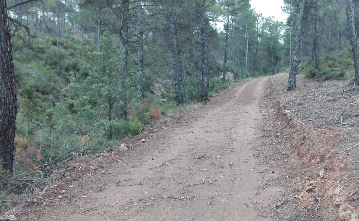 Uno de los caminos rurales reparados en la Font de la Figuera. 