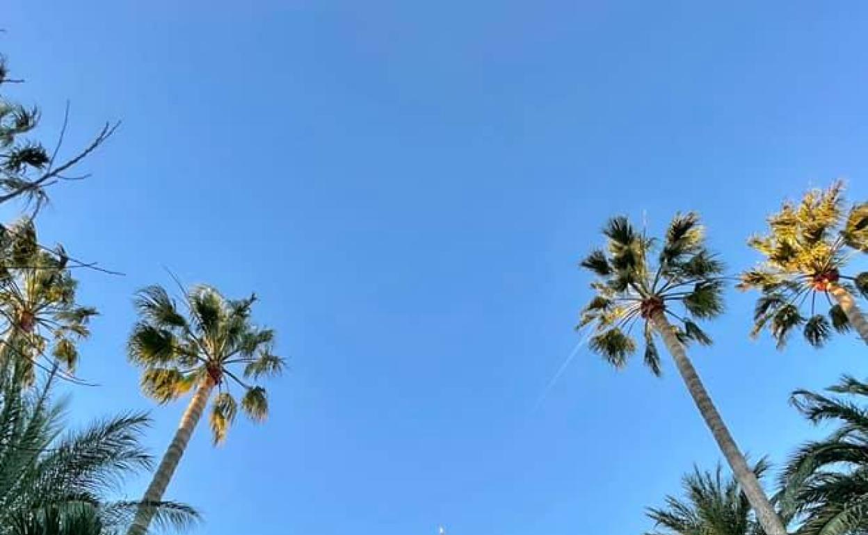 Centro de salud de Sollana. 