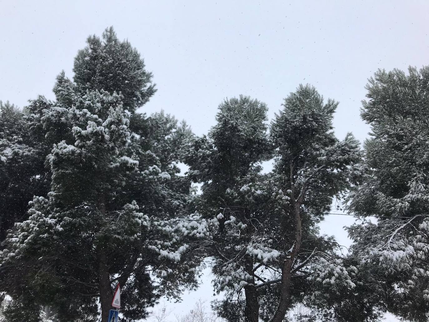 Camporrobles: El primer temporal del invierno entra en la Comunitat cubriendo de blanco buena parte del interior de las provincias de Castellón, Valencia y Alicante. Aemet ha aumentado el aviso naranja previsto ya que los acumulados podrían ser considerables, de hasta quince centímetros. La borrasca no abandonará el territorio regional hasta el próximo sábado.