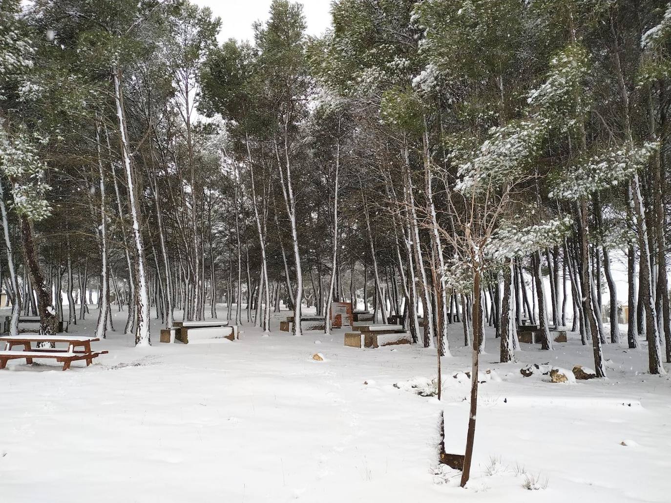 Camporrobles: El primer temporal del invierno entra en la Comunitat cubriendo de blanco buena parte del interior de las provincias de Castellón, Valencia y Alicante. Aemet ha aumentado el aviso naranja previsto ya que los acumulados podrían ser considerables, de hasta quince centímetros. La borrasca no abandonará el territorio regional hasta el próximo sábado.