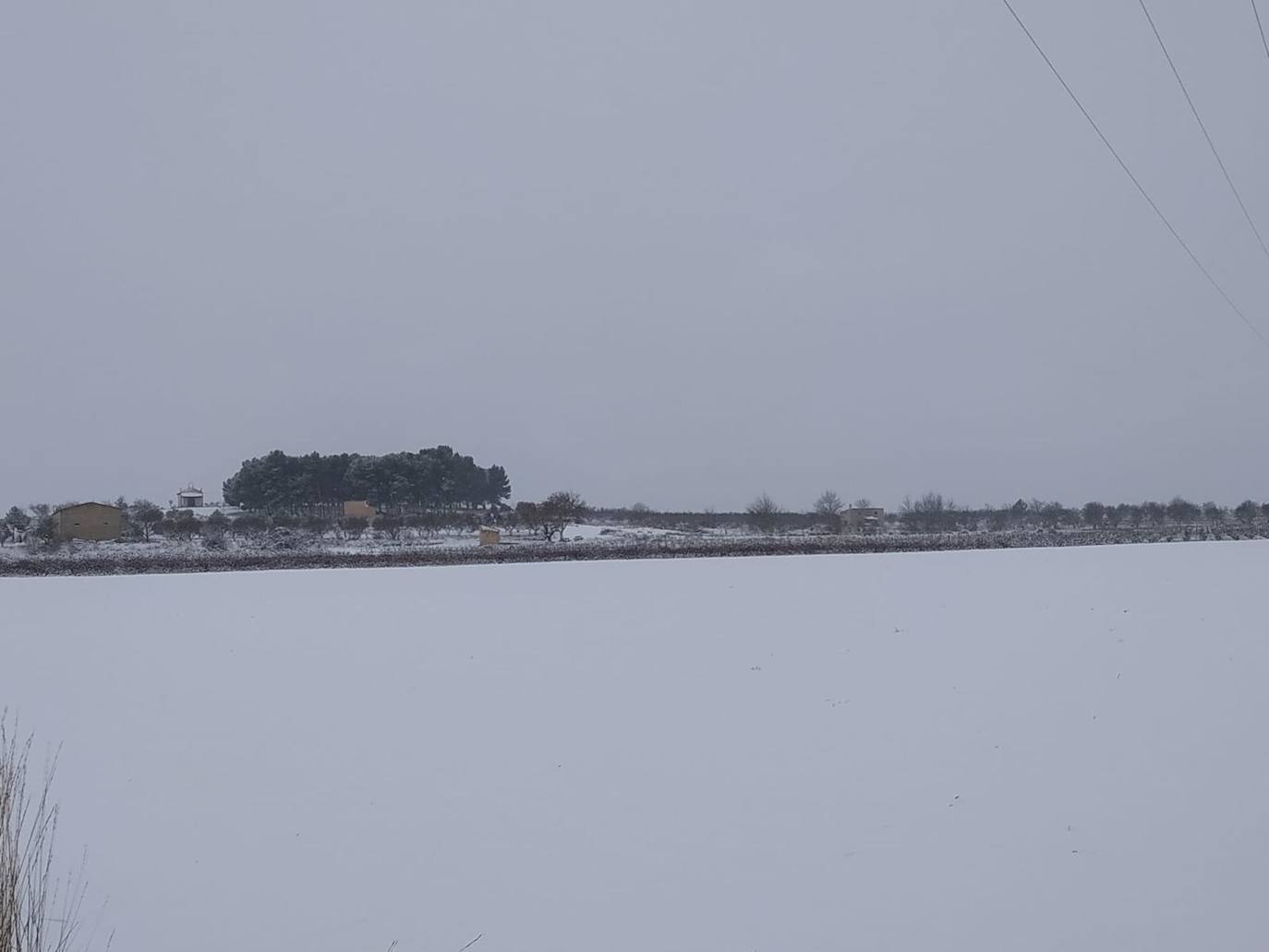 Camporrobles: El primer temporal del invierno entra en la Comunitat cubriendo de blanco buena parte del interior de las provincias de Castellón, Valencia y Alicante. Aemet ha aumentado el aviso naranja previsto ya que los acumulados podrían ser considerables, de hasta quince centímetros. La borrasca no abandonará el territorio regional hasta el próximo sábado.